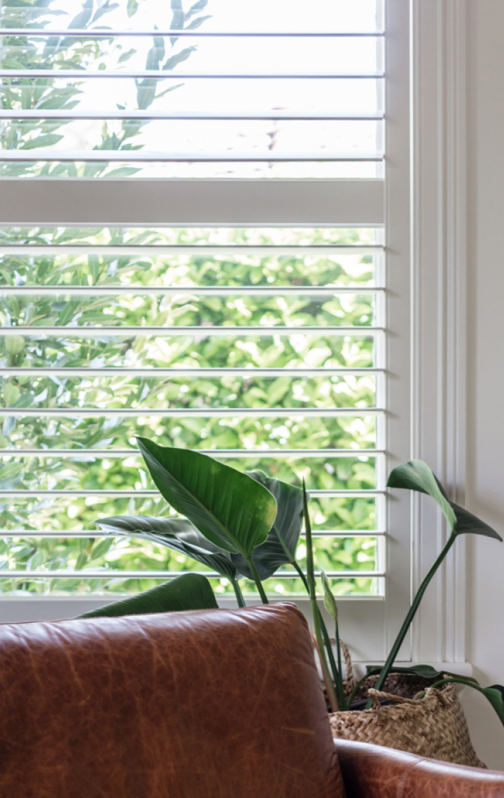 Plantation Shutters window treatments